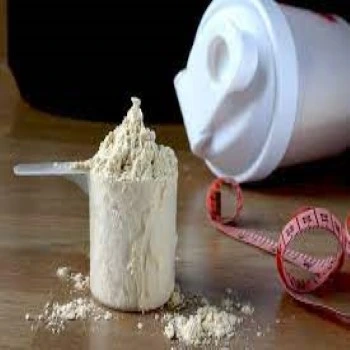 Protein Supplements