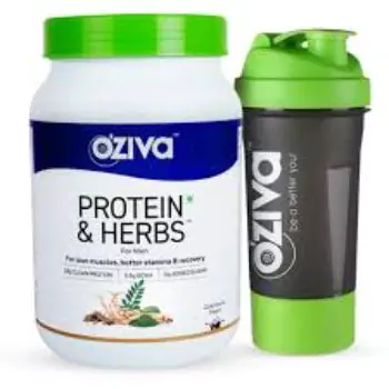 Protein Supplements