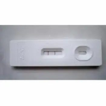 Pregnancy Test Strips