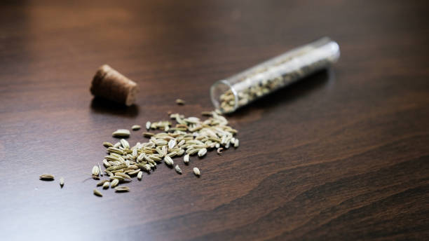  Common  Organic Fennel Seeds