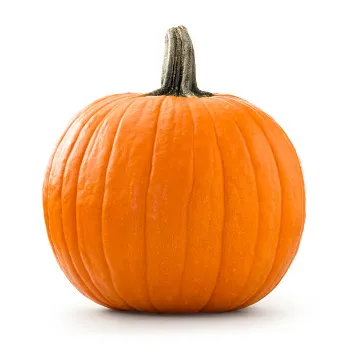 Organic Fresh Pumpkin