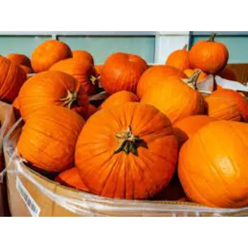 Organic Pumpkin