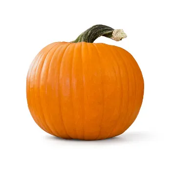 Natural Fresh Pumpkin