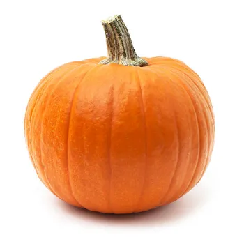 Organic Fresh Pumpkin