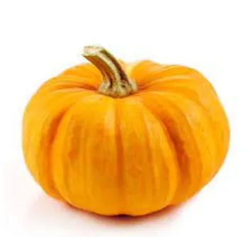 Organic Fresh Pumpkin