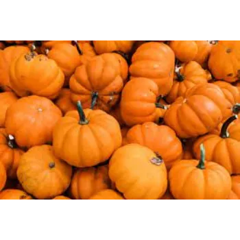 Natural Pumpkin
