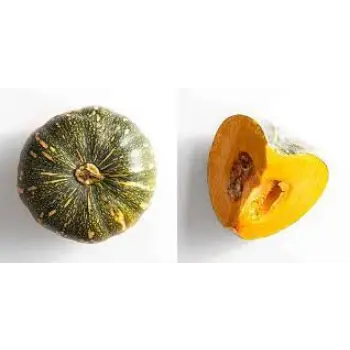 Common Fresh Pumpkin
