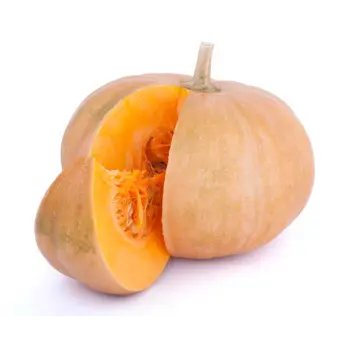 Common Fresh Pumpkin