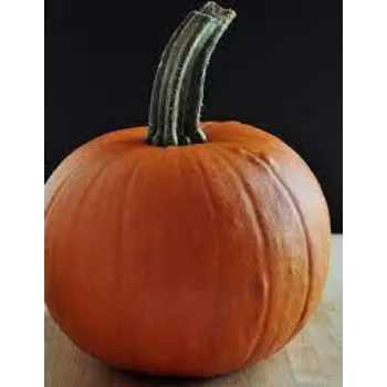 Natural Fresh Pumpkin