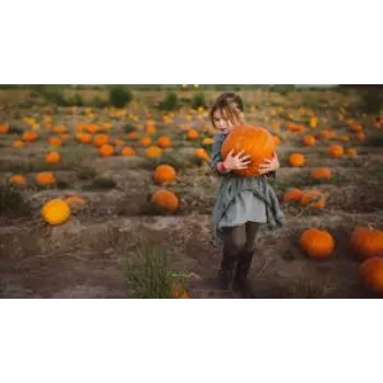 Natural Fresh Pumpkin