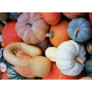 Fresh Pumpkin