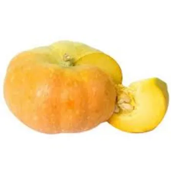 Common Fresh Pumpkin