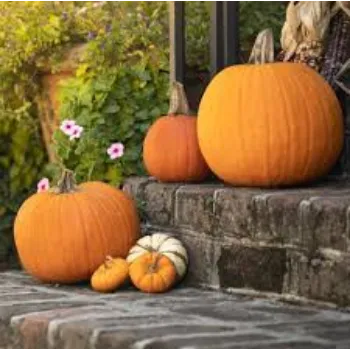 Organic Fresh Pumpkin