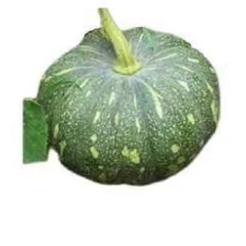 Natural Fresh Pumpkin 