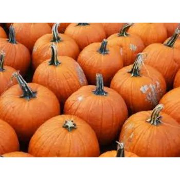 Organic Fresh Pumpkin