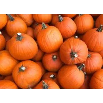 Natural Fresh Pumpkin