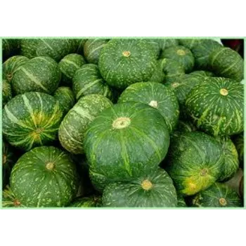 Natural Fresh Pumpkin