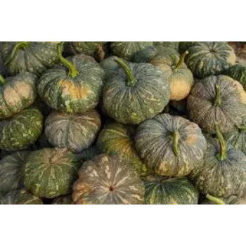 Organic Fresh Pumpkin