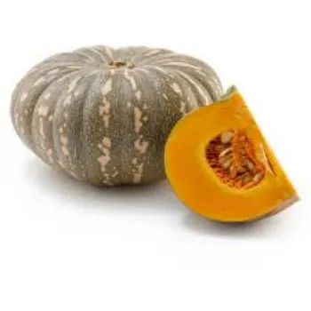 Common Fresh Pumpkin