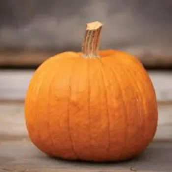 Organic Fresh Pumpkin