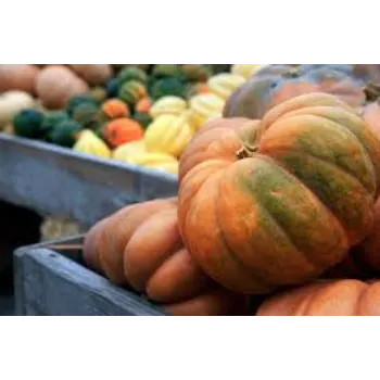 Organic Fresh Pumpkin