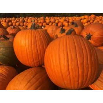 Organic Fresh Pumpkin