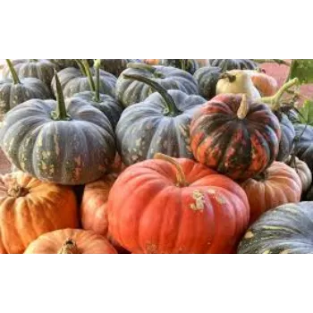 Natural Fresh Pumpkin