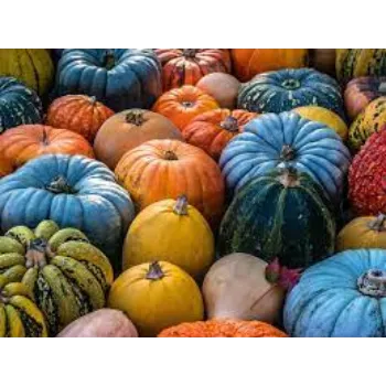 Natural Fresh Pumpkin