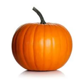 Organic Fresh Pumpkin