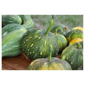 Organic Fresh Pumpkin