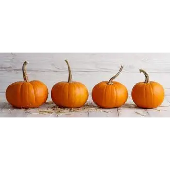 Natural Fresh Pumpkin