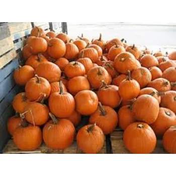 Organic Fresh Pumpkin