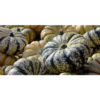 Organic Fresh Pumpkin