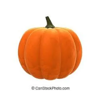 Common Fresh Pumpkin
