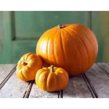 Natural Fresh Pumpkin