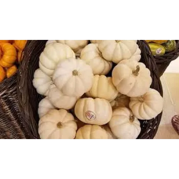 Natural Fresh Pumpkin