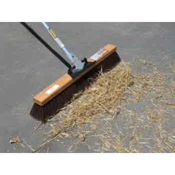 Sunrise Push Broom