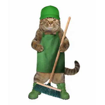 Plain & Printed Push Broom