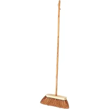 Multicolor Push Broom