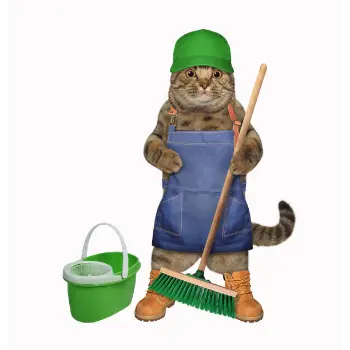 Fine Finished Push Broom