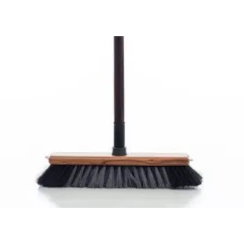 Natural Push Broom