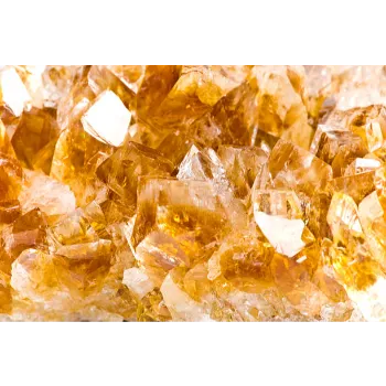 Shambhavi Quartzite