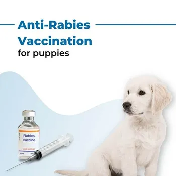 Rabies Vaccine