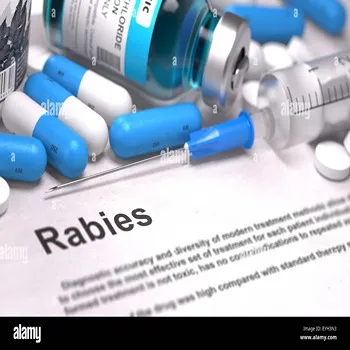 Rabies Vaccine