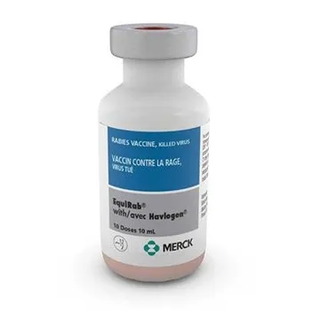 Rabies Vaccine