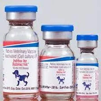 Rabies Vaccine
