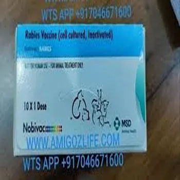 Rabies Vaccine