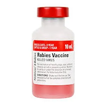 Rabies Vaccine