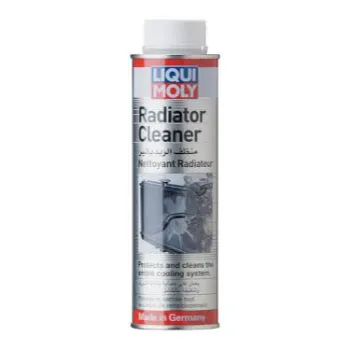 Sant Radiator Cleaner