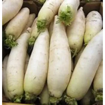 Radish